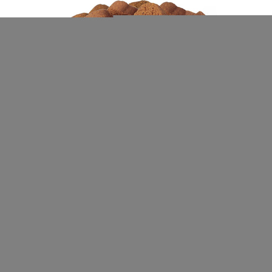 Dog Multivitamin Chews 15-in-1 MSM Joint Mobility Chews 120ct