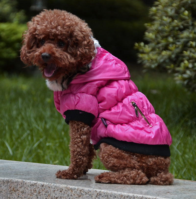 Zippered Cotton Padded Clothes For Pets - Majestic Pet Kingdom