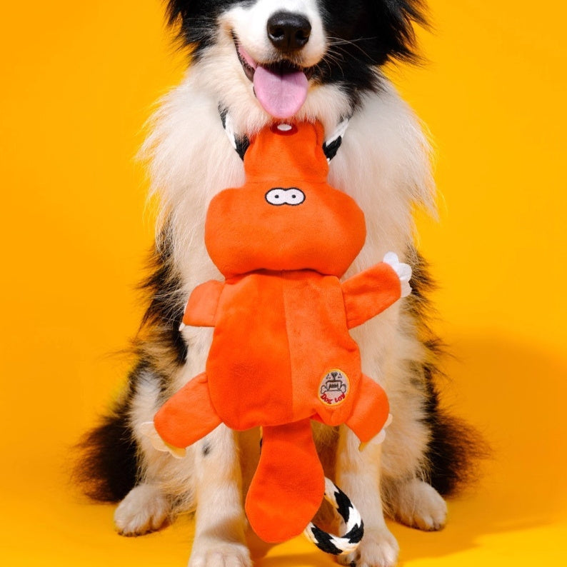 Dog Chew Toy Squeaky Textured Rubber Molar Teething Play Bone - Main Feature View | Majestic Pet Kingdom