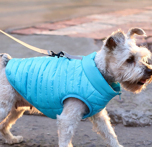 New Pet Dog Clothing Autumn And Winter Full Nylon Zipper Puppy Jacket Dog Clothing - Majestic Pet Kingdom