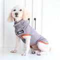 Dog Clothes Vintage Twist Pet Sweater - Majestic Pet Kingdom