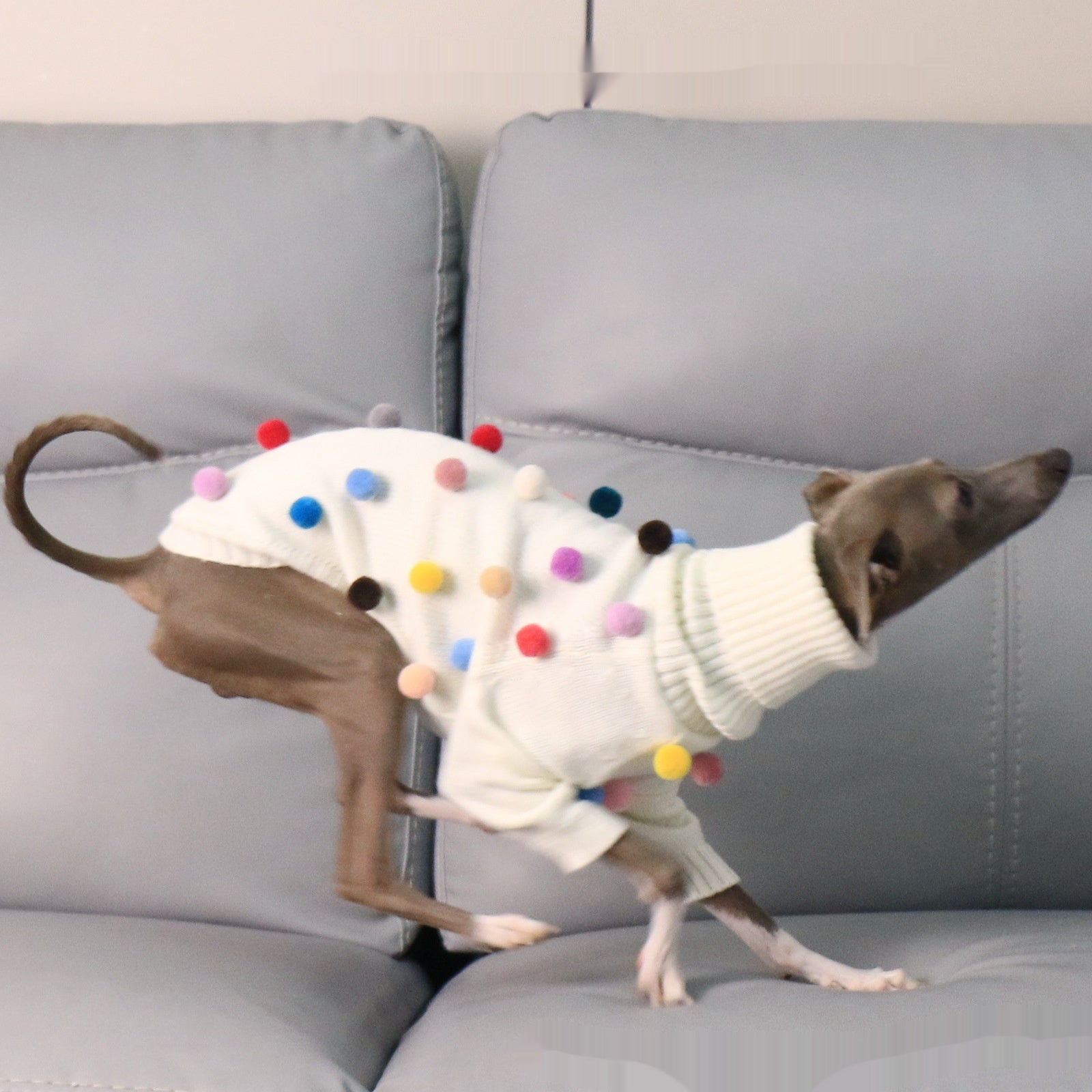 Pet Product - Premium Pet Accessory