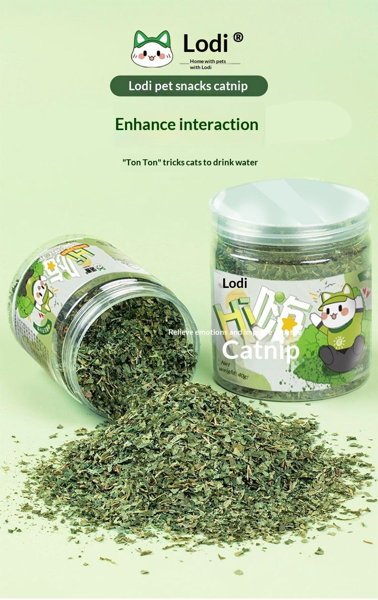 Catnip Cat Grass Leaves Cat Treats Cat Teaser Toy