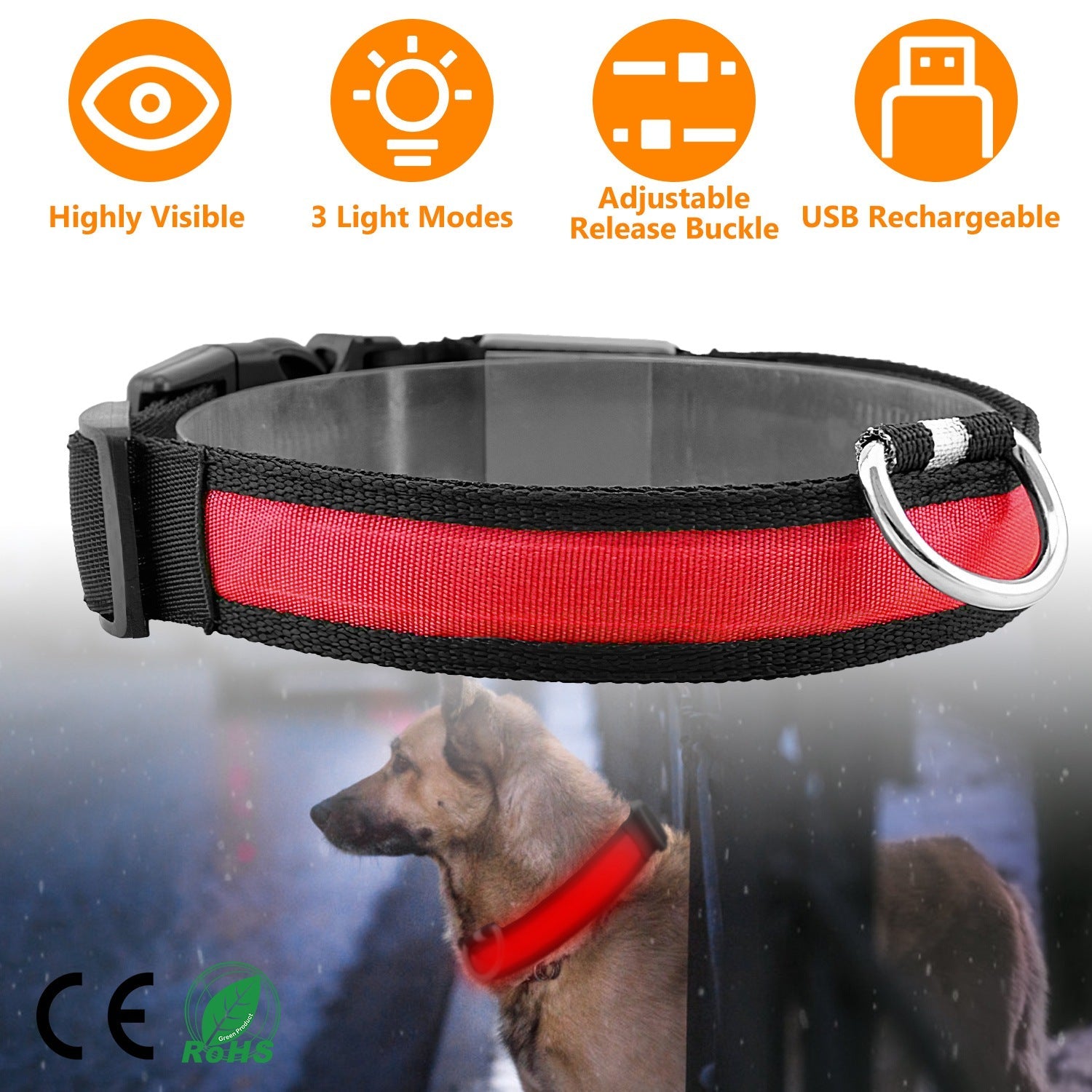 GBruno LED Dog Collar USB | Purrfect Pet Kingdom