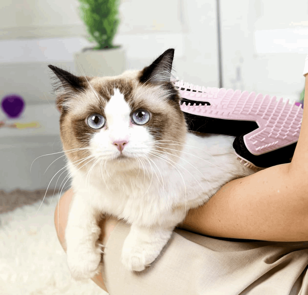 Double-Sided Silicone Pet Grooming Glove for Dogs & Cats
