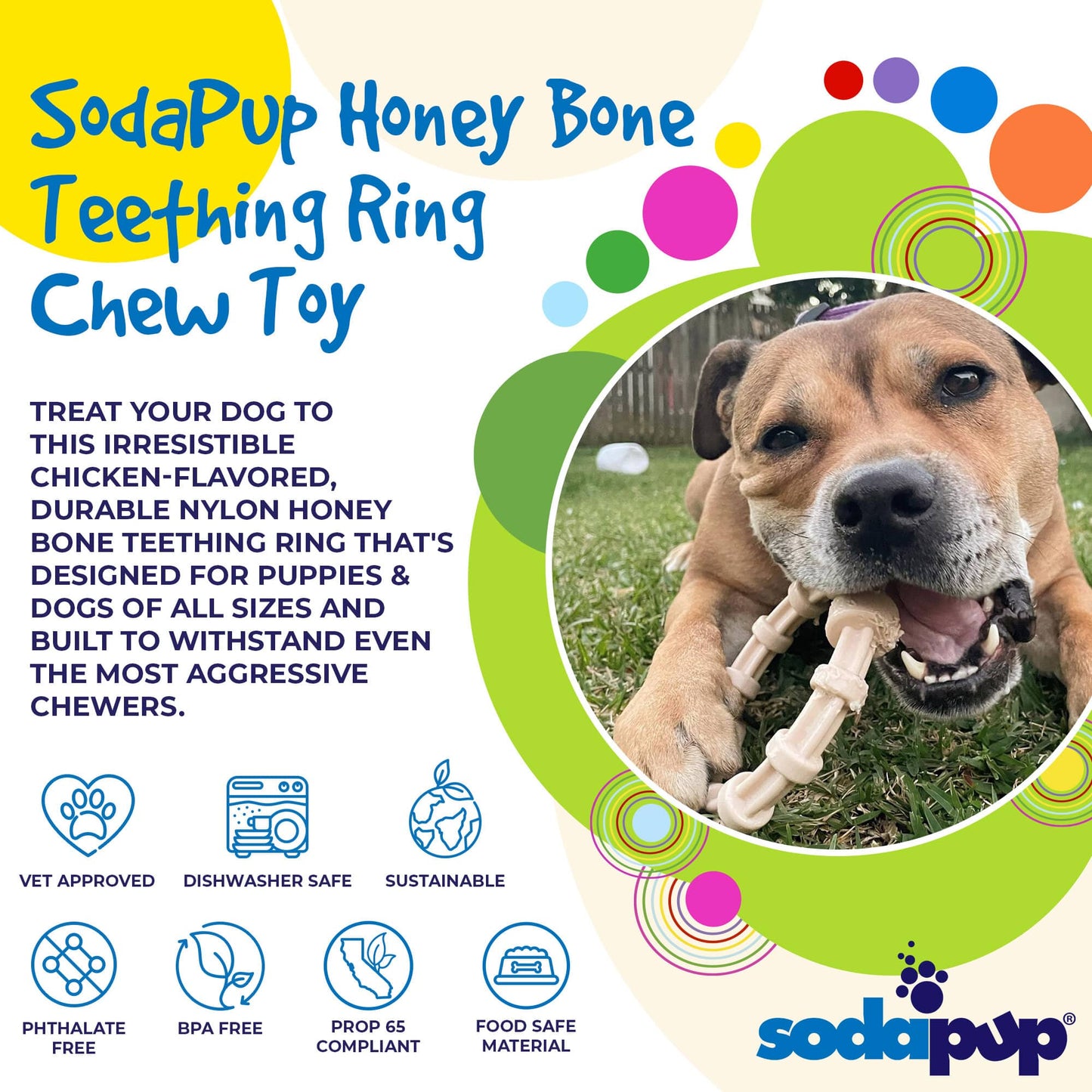 Dog Teething Ring Chicken Flavored Nylon Chew Toy USA Made