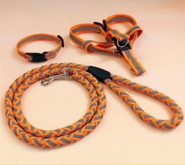 Dog Leash Heavy Duty Nylon Padded Handle Walking Pet Lead