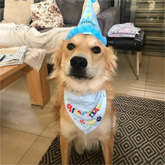 2Pcs/Set Dog Hat Bib Dog Birthday Bandana Scarf Adjustable Bandana Neckerchief Cat Dog Birthday Bib Hat Pet Supplies - Detail Angle 2 | Majestic Pet Kingdom