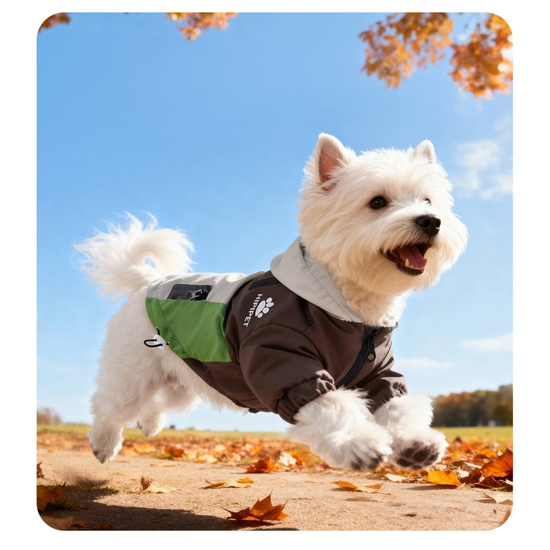 Pet Product - Premium Pet Accessory