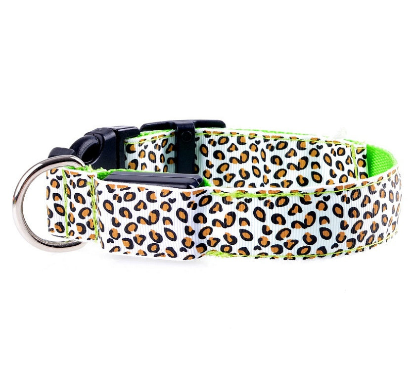 Quality Everyday Essential Product Item - Premium Choice