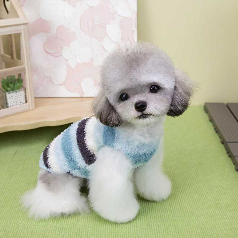 Dog Coat Cute Bear Label Two-Legged Winter Clothing