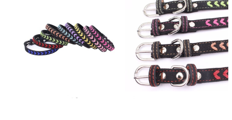 Stainless Steel Iron Dog Collar with Laser Lettering | Purrfect Pet Kingdom