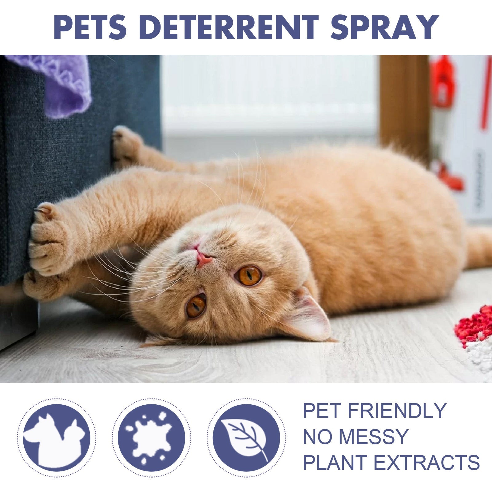 Pet Anti-Scratch Spray Exclusion Zone Set Up Spray Cat And Dog Scratching Door Sofa Anti-Scratch Solution - Majestic Pet Kingdom