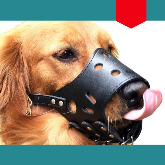 Luxury Pet Essentials - Purrfect Pet Kingdom™