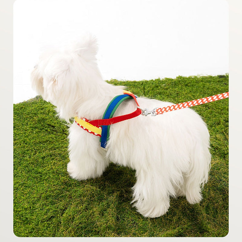 Dog Harness Leash Set No-Pull Walking Chest Strap | Purrfect Pet Kingdom
