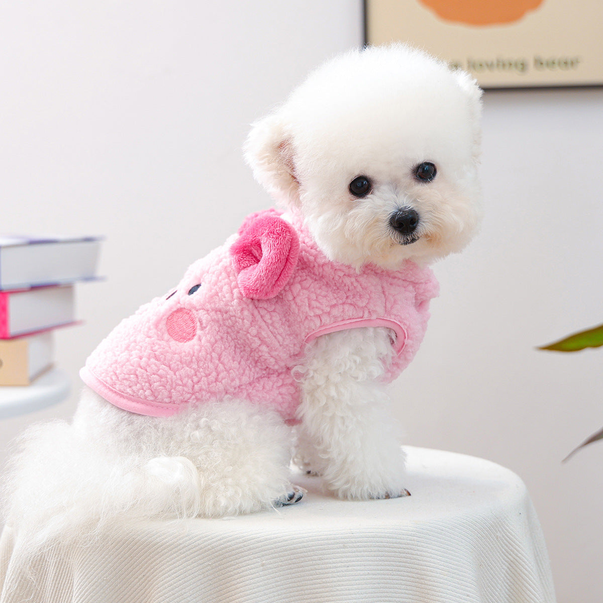 Pet Product - Premium Pet Accessory