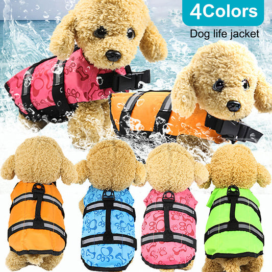 Large and small dogs - Majestic Pet Kingdom