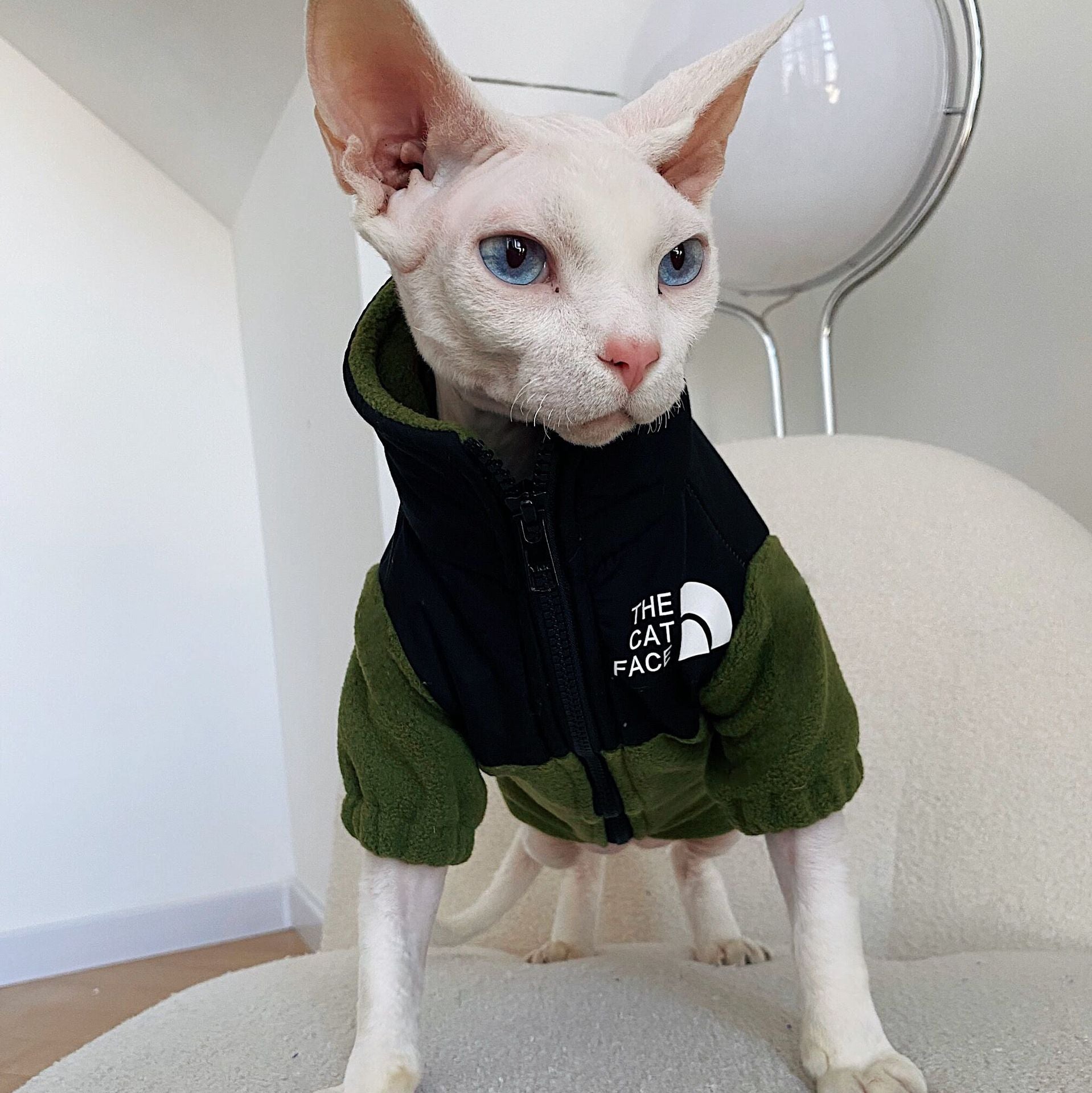 Hairless Cat Clothes Warm Pet Cat Clothes - Majestic Pet Kingdom