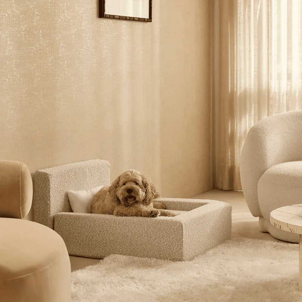 Movable Sponge Pet Sofa Mat & Dog Bed