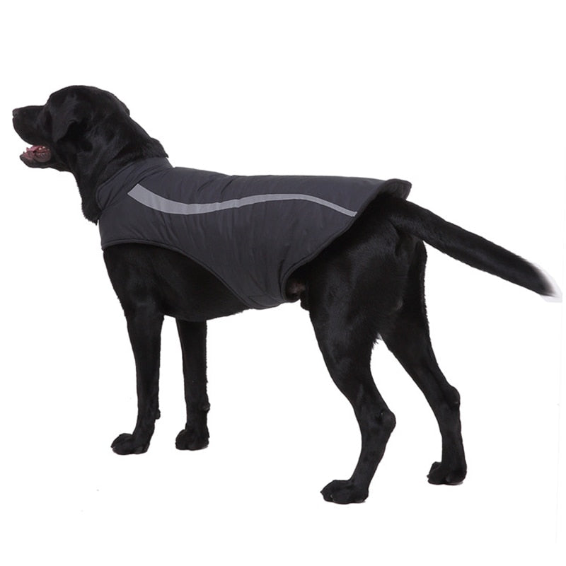 Dog clothes autumn winter clothes winter coats - Majestic Pet Kingdom