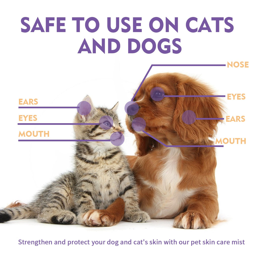Pet Skin Relief Spray: Anti-Itch & Mite Cleaning Care - Majestic Pet Kingdom