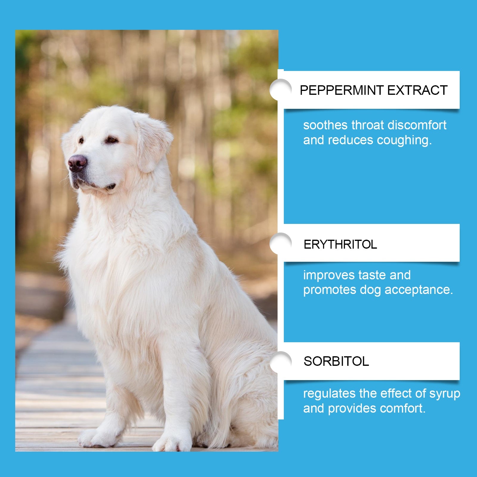 Dog Health Supplement: Vitality Maintenance Syrup