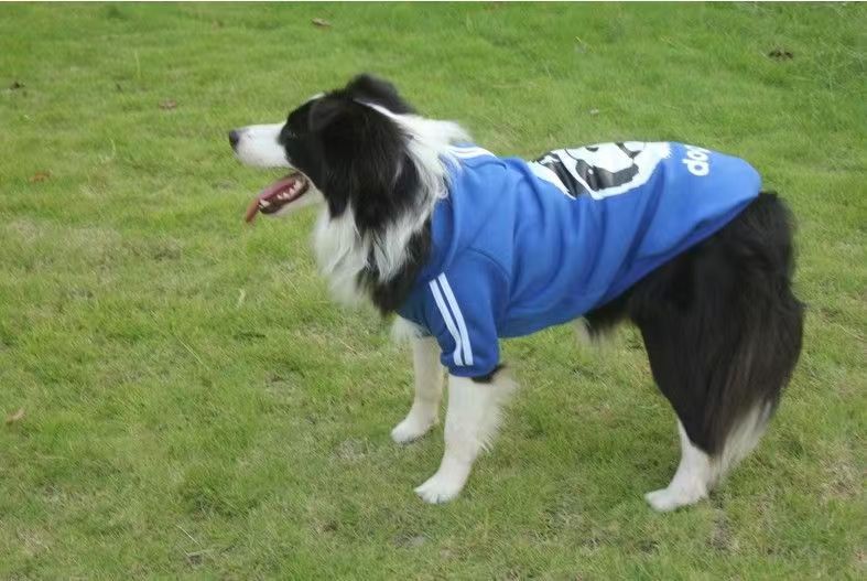 Pet Product - Premium Pet Accessory