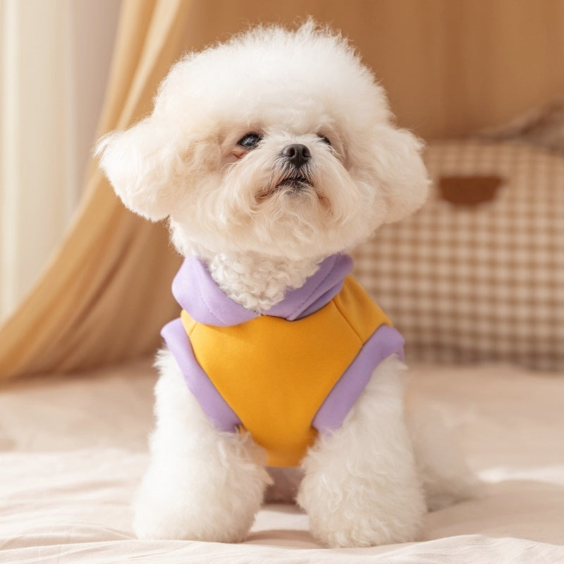 Pet Product - Premium Pet Accessory