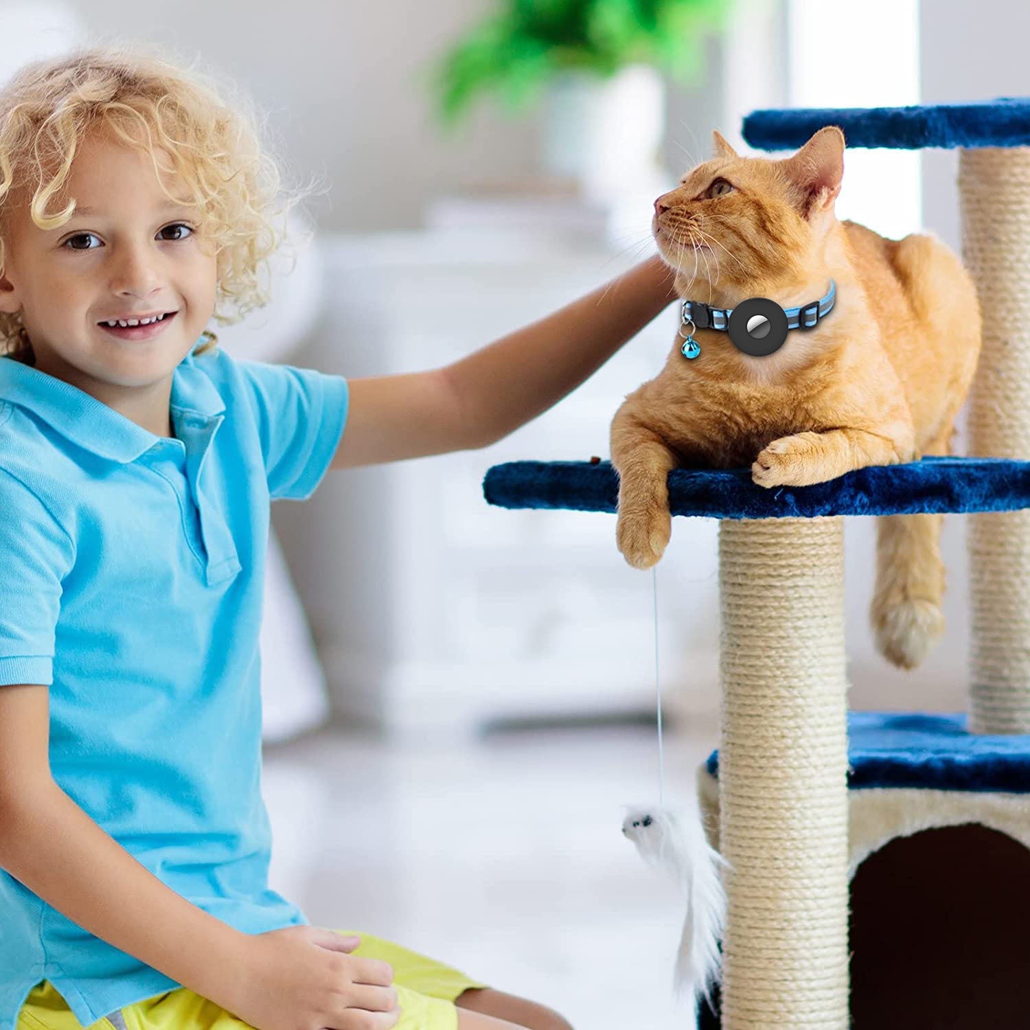 Luxury Pet Essentials - Purrfect Pet Kingdom™