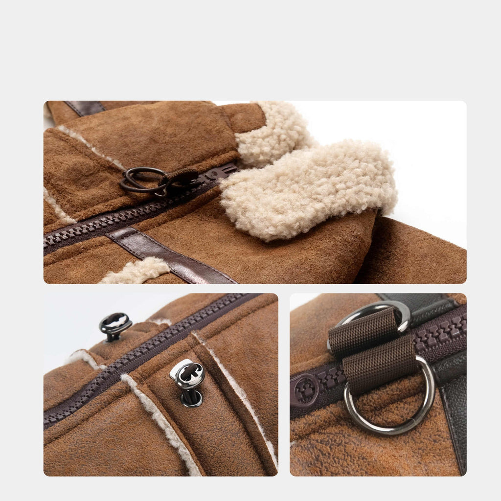 Pet Product - Premium Pet Accessory