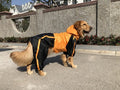 Large dog pet raincoat - Majestic Pet Kingdom