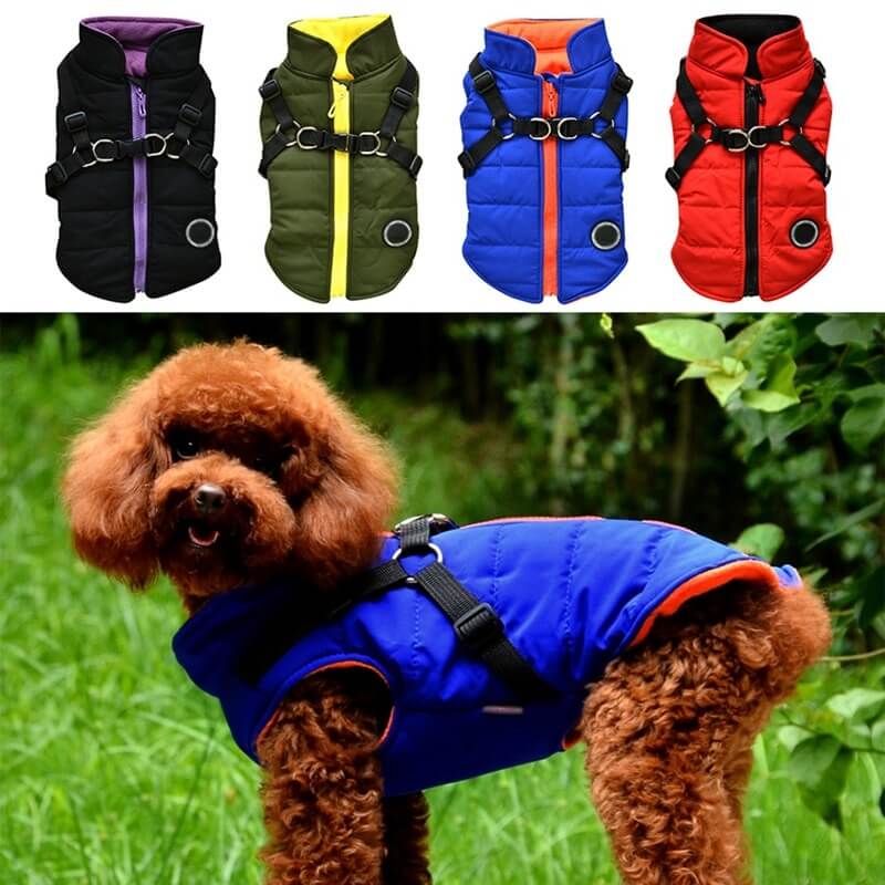 Dog zipper jacket - Majestic Pet Kingdom