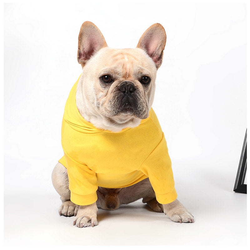Pet dog clothes - Majestic Pet Kingdom