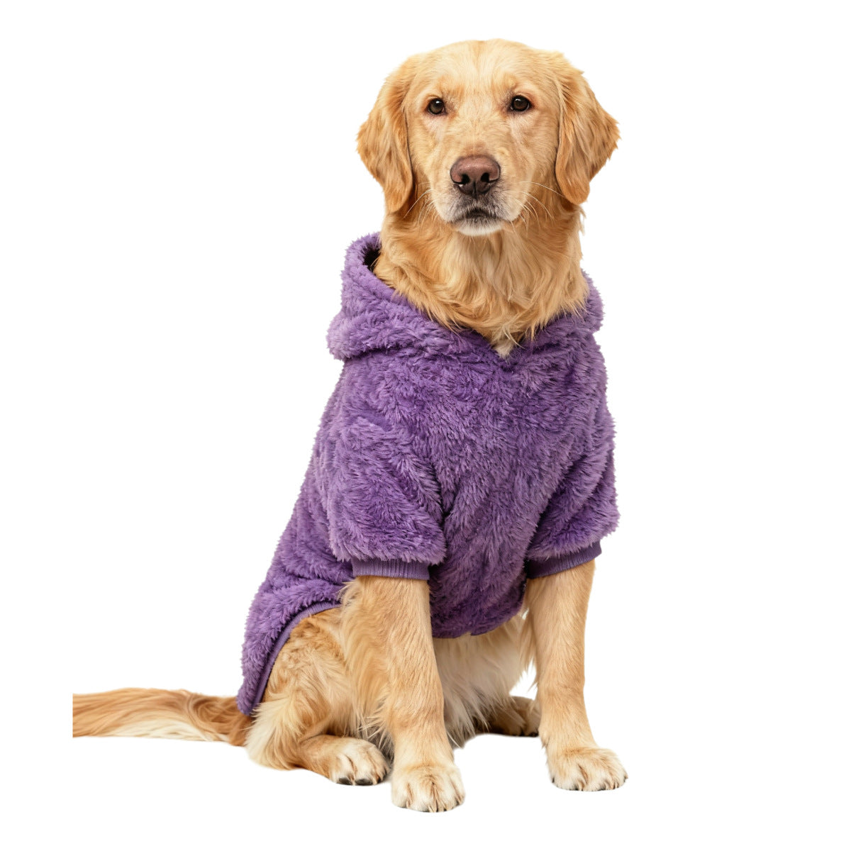Pet Product - Premium Pet Accessory