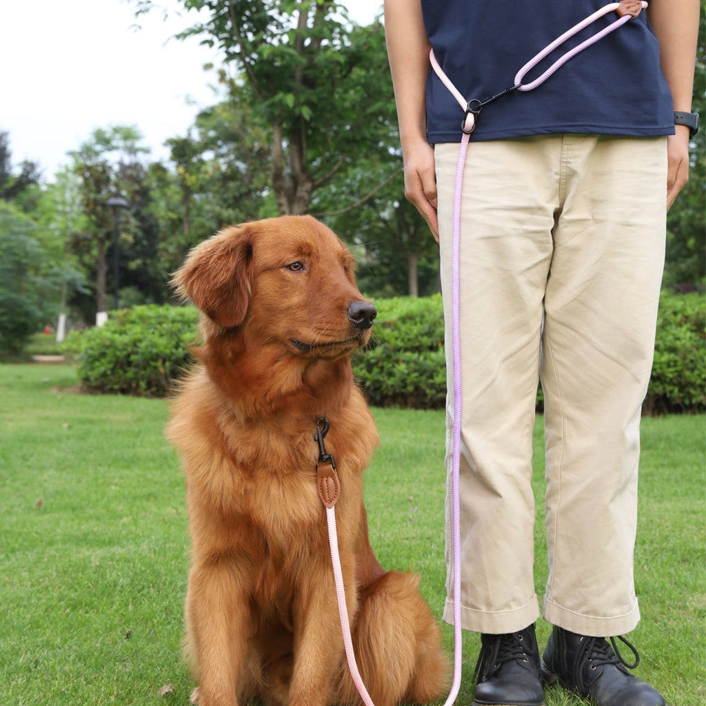Pet Pet Walking Multi-purpose Reflective Hand Holding