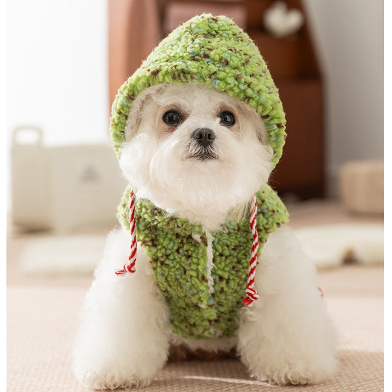Pet Product - Premium Pet Accessory