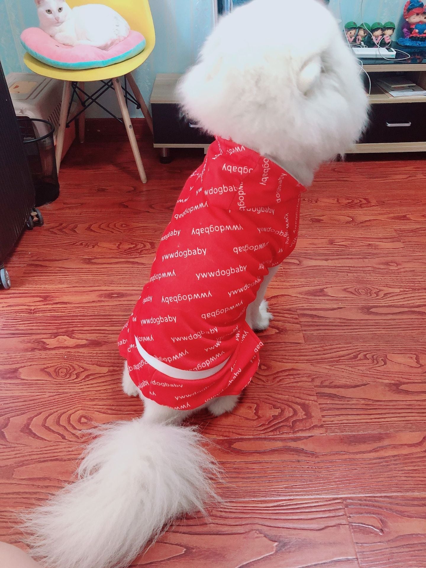 Pet Product - Premium Pet Accessory