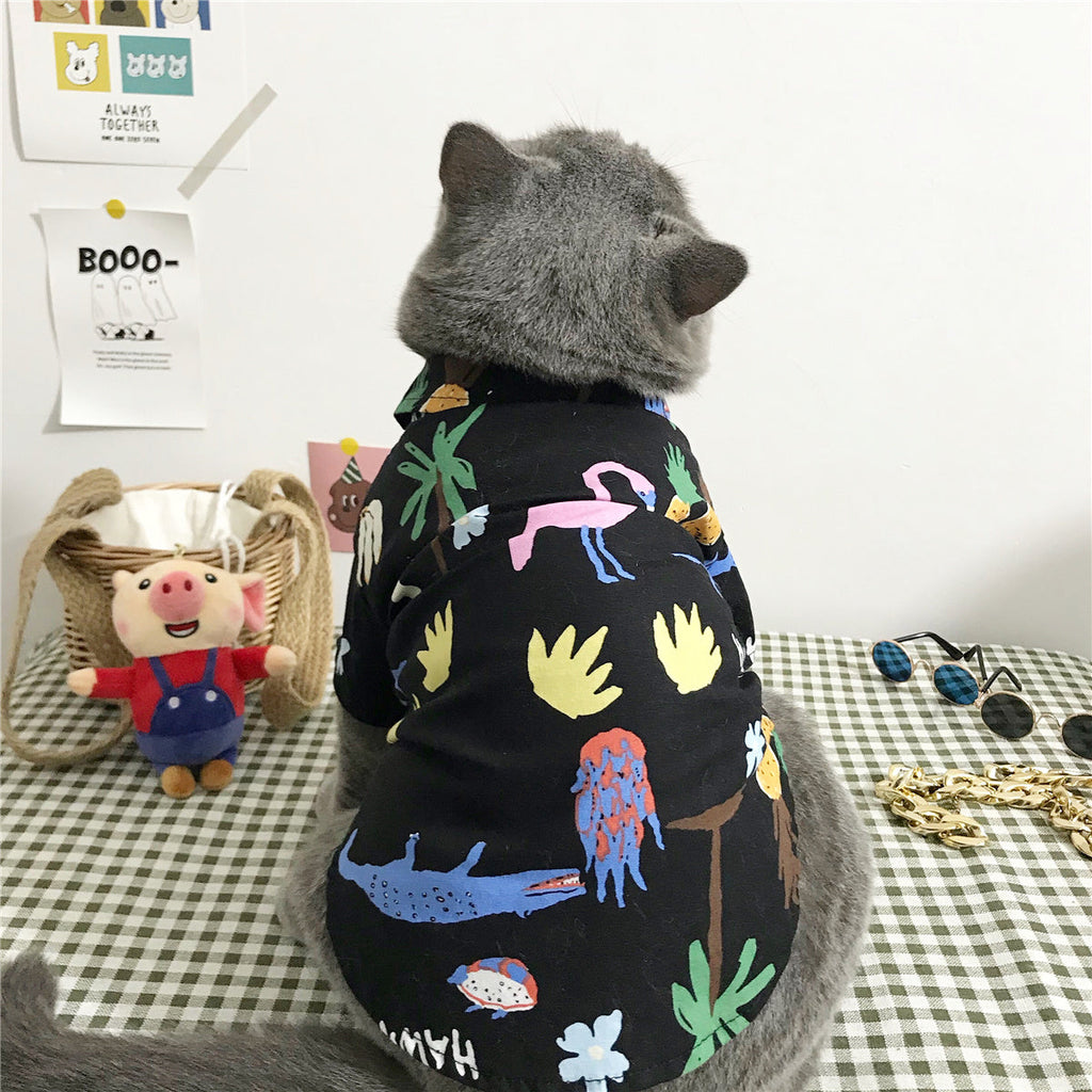 Cat clothes - Majestic Pet Kingdom