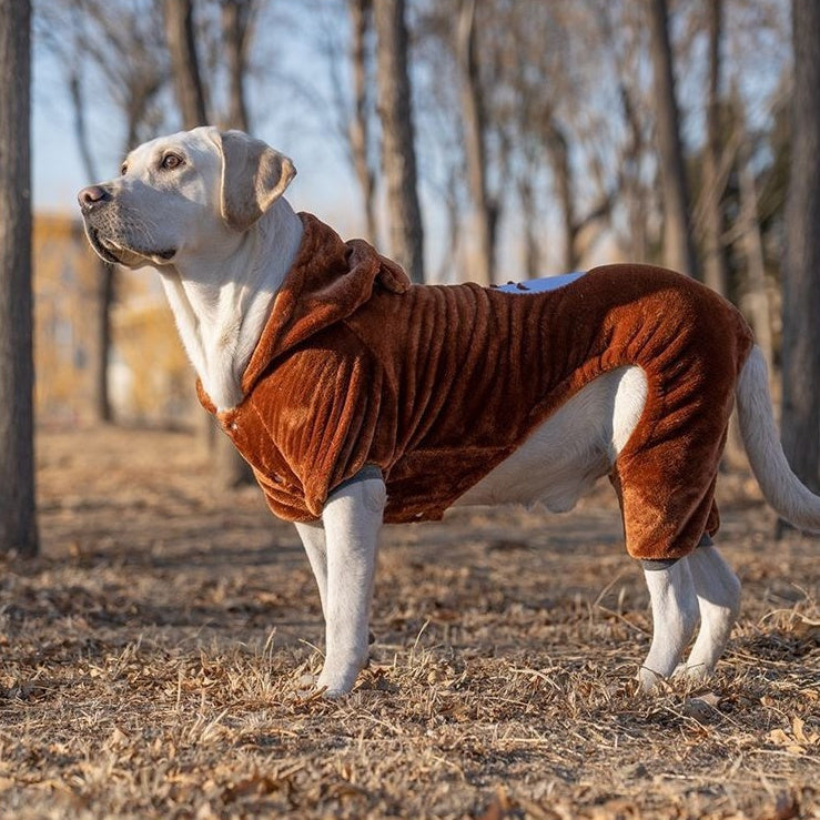 Big Clothes Year Medium-sized Large Dog - Premium Pet Accessory