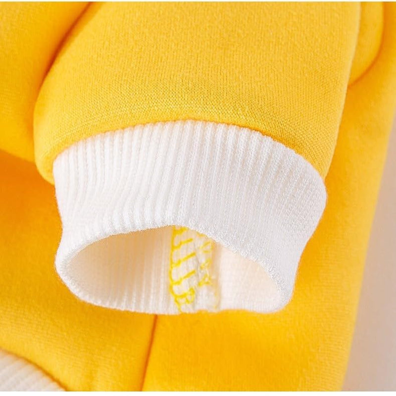Pet Product - Premium Pet Accessory