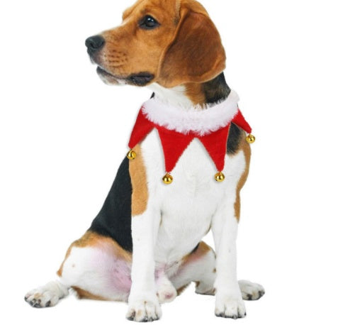 Luxury Pet Essentials - Purrfect Pet Kingdom™