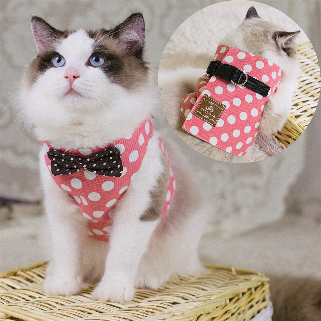 Cute Cat's Chest Back Traction Rope Clothes
