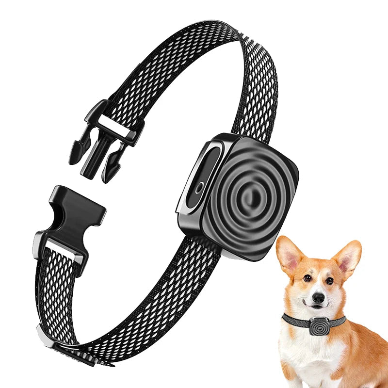 Anti-Barking Collar: Ultrasonic USB Training Device - Majestic Pet Kingdom