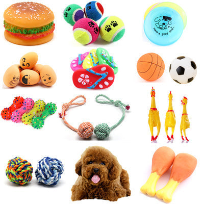 Interactive Rolling Bouncing Pet Toy Ball