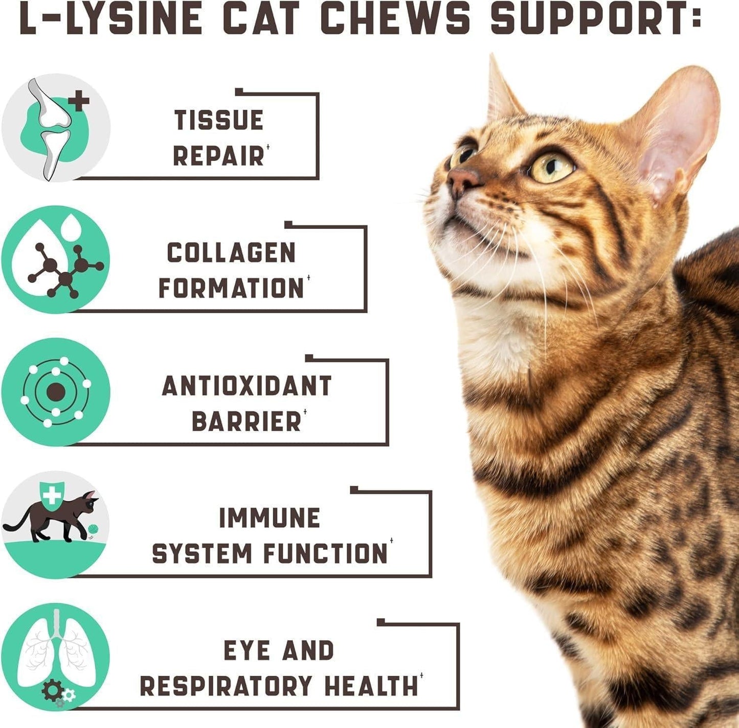 Lysine Cat Treats - Immune, Respiratory & Eye Health