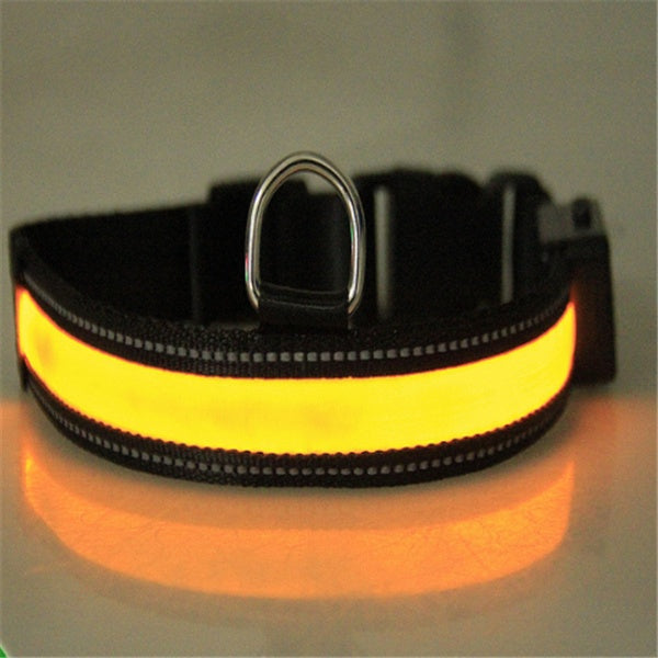 Dog Collar Fluorescent Neon High Visibility Safety Pet Band - Detail Angle 4 | Majestic Pet Kingdom