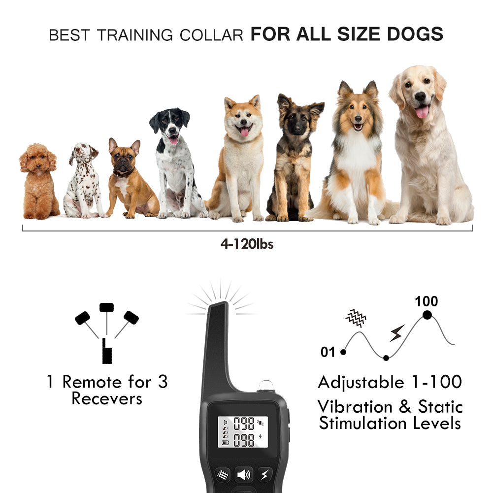 Remote Control Pet Trainer -dog