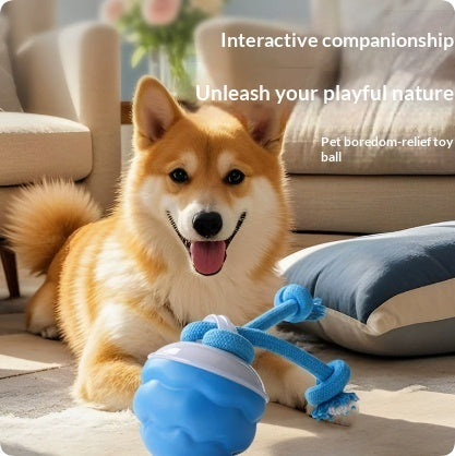Rechargeable Dog-Playing Ball Smart Toy For Dogs