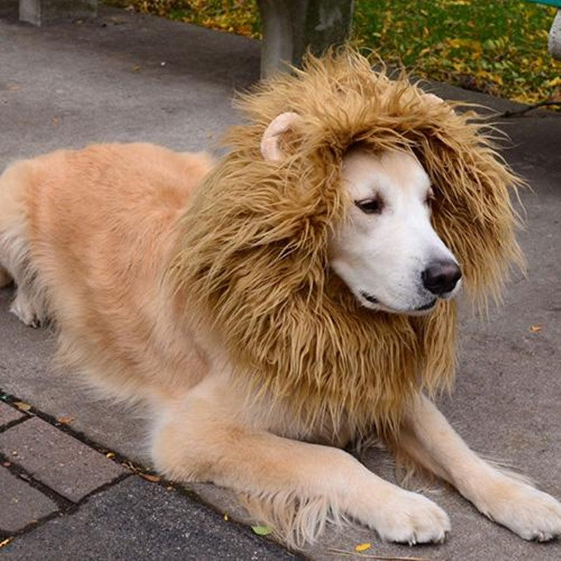 Luxury Pet Essentials - Purrfect Pet Kingdom™