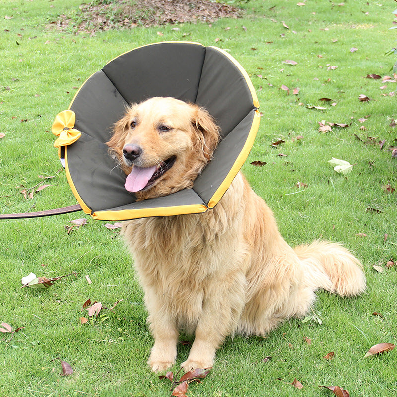 Luxury Pet Essentials - Purrfect Pet Kingdom™
